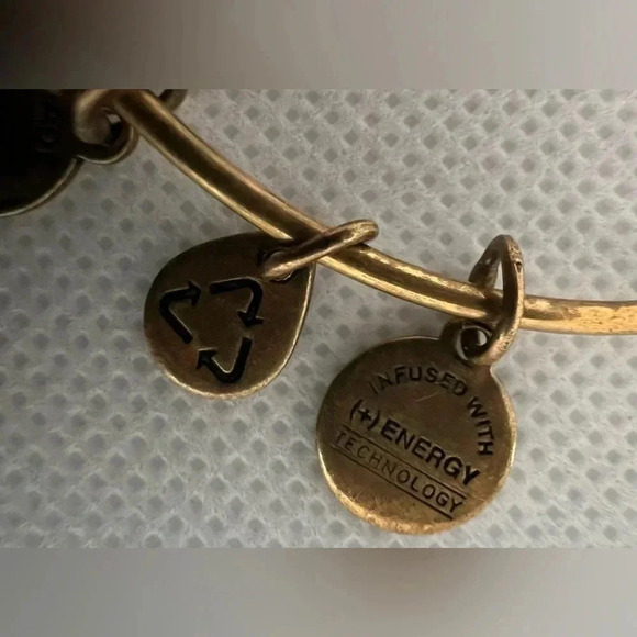 Alex and Ani | Mother/child Hand in Hand charm bracelet. - Picture 6 of 12